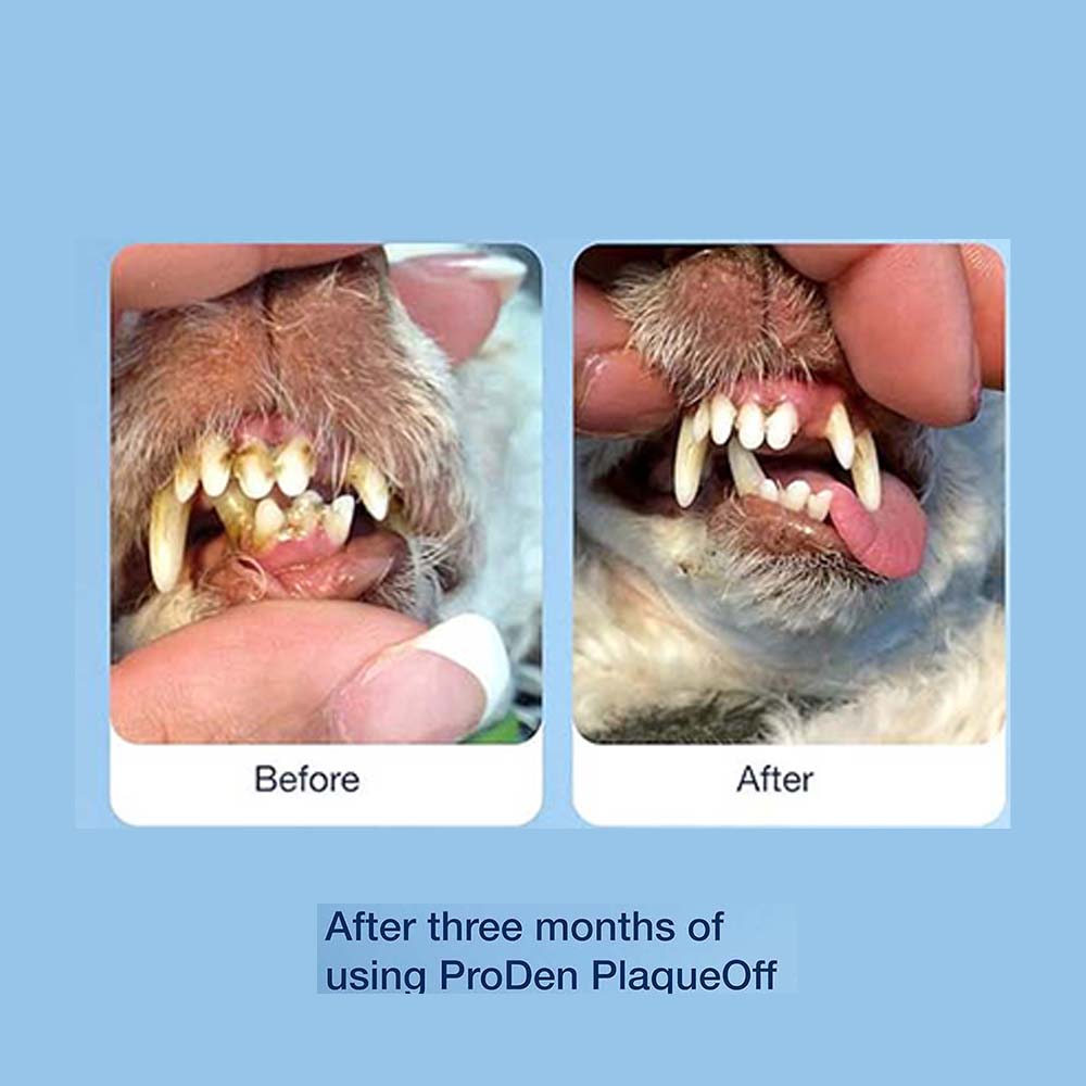 Plaque Off Soft Chews, Poslastice za Pse za Oralnu Higijenu