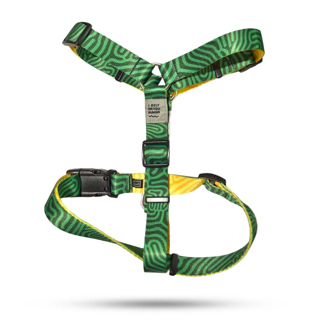 Maze H - Am Za Psa #2103