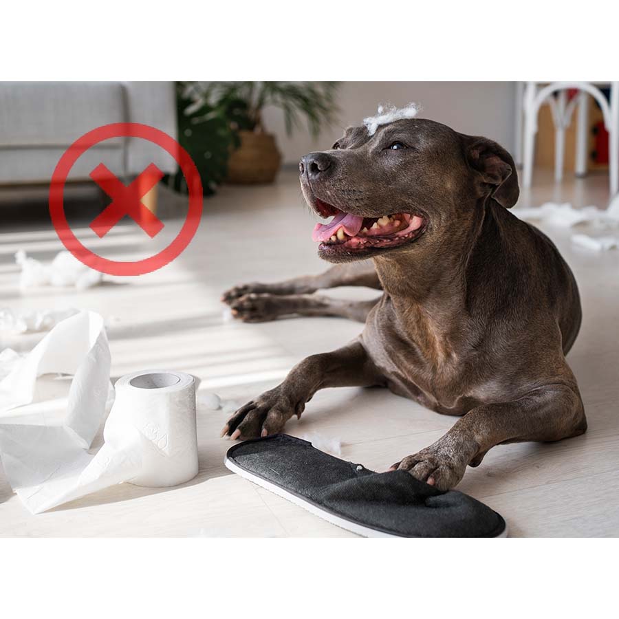 Trixie Chewing Stop Sprej - 175ml, #2931