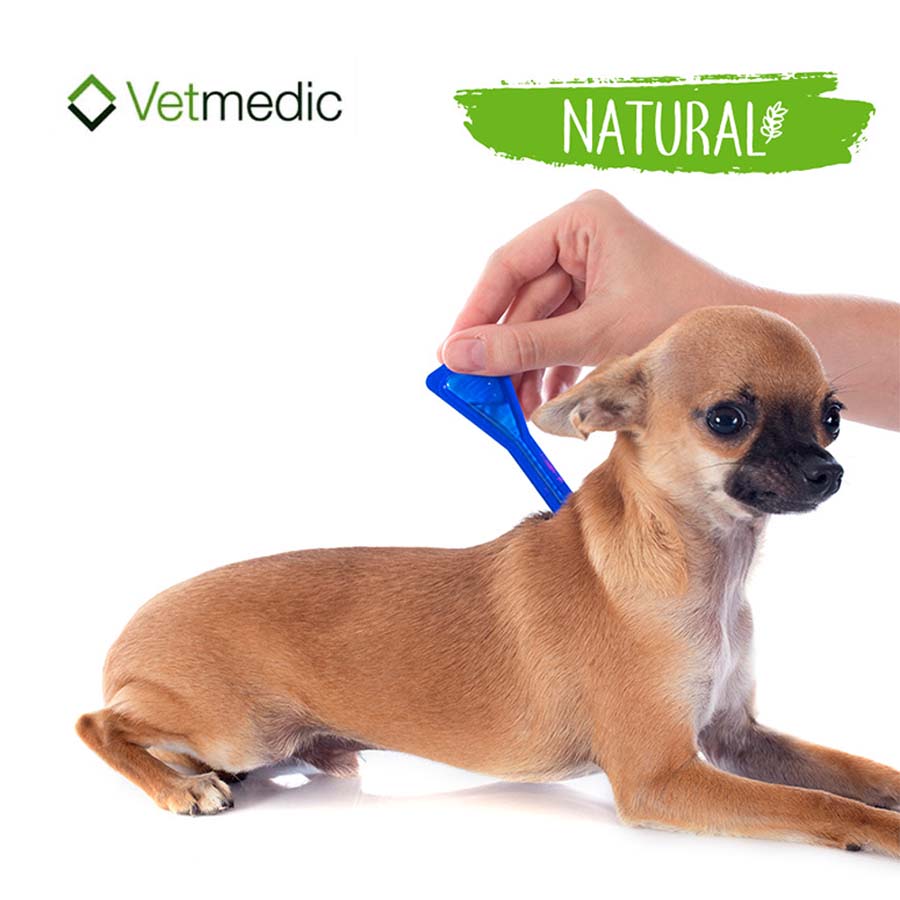 Paws&Paws Biospot Natural Care - 3x1ml za Pse do 7kg