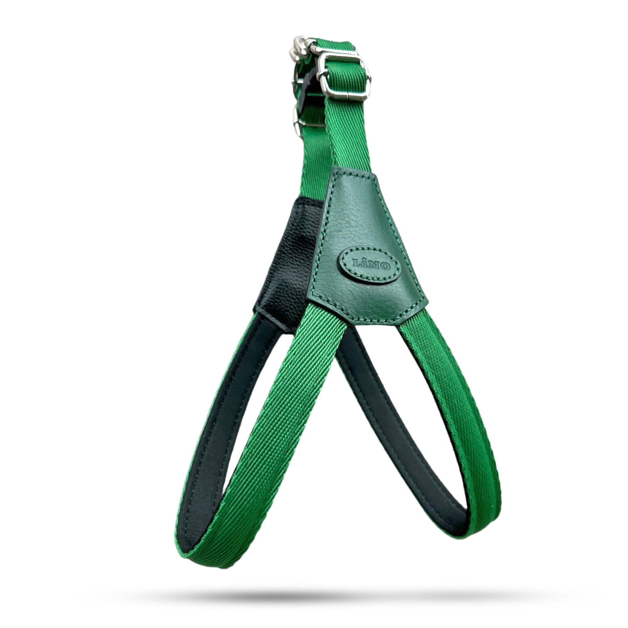 Zeleni Lino, Am Za Pse