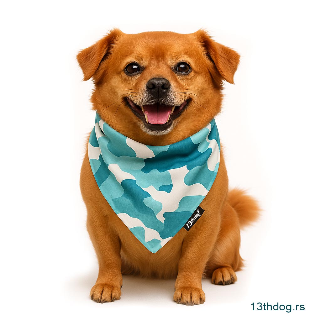 Marama Za Pse Aqua Dream