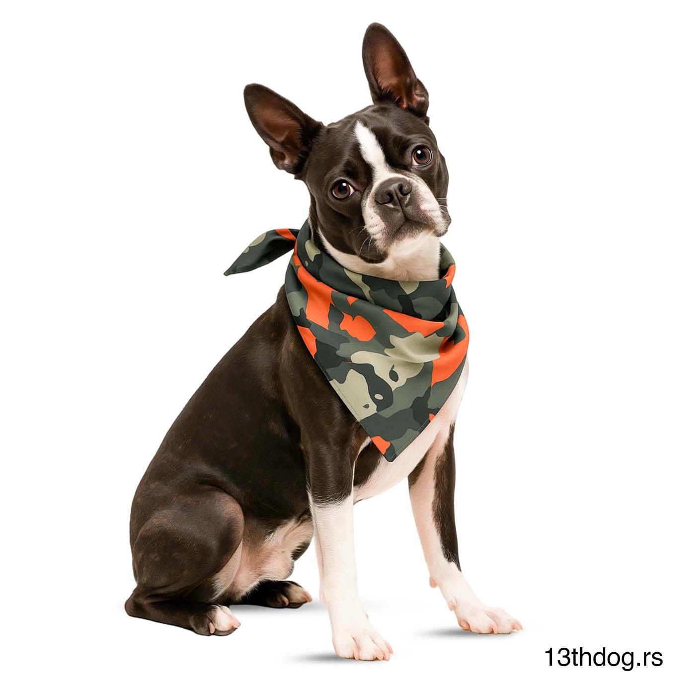 Marama Za Pse Shadow Walk