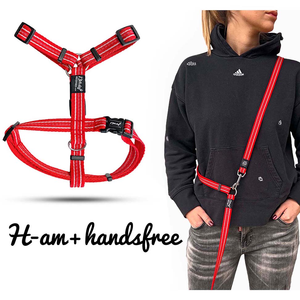 Anatomski H am za pse – Premium crvena varijanta (veličine S i M) #2135