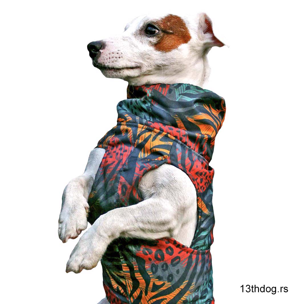 Kabanica za pse Africa – Vodootporna jakna protiv kiše i vetra