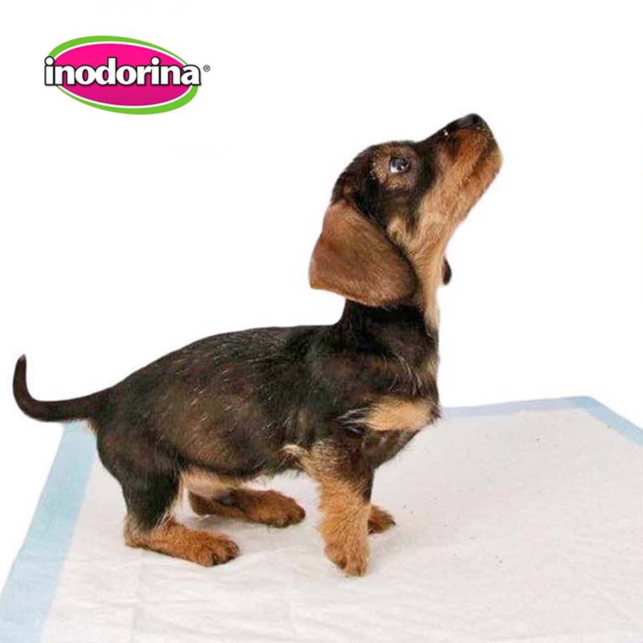 Inodorina Training Pelene za Pse - 60x60cm, 10kom