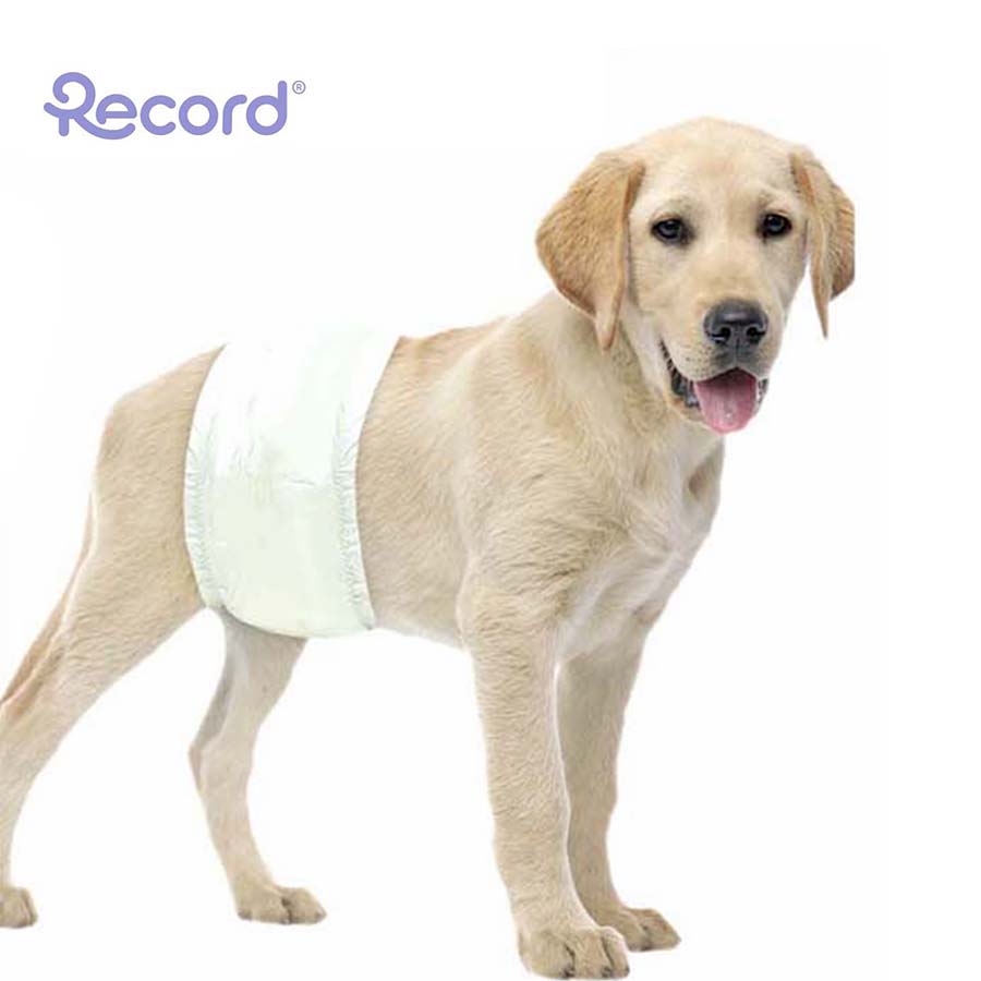 Record Pelene za Mužjake