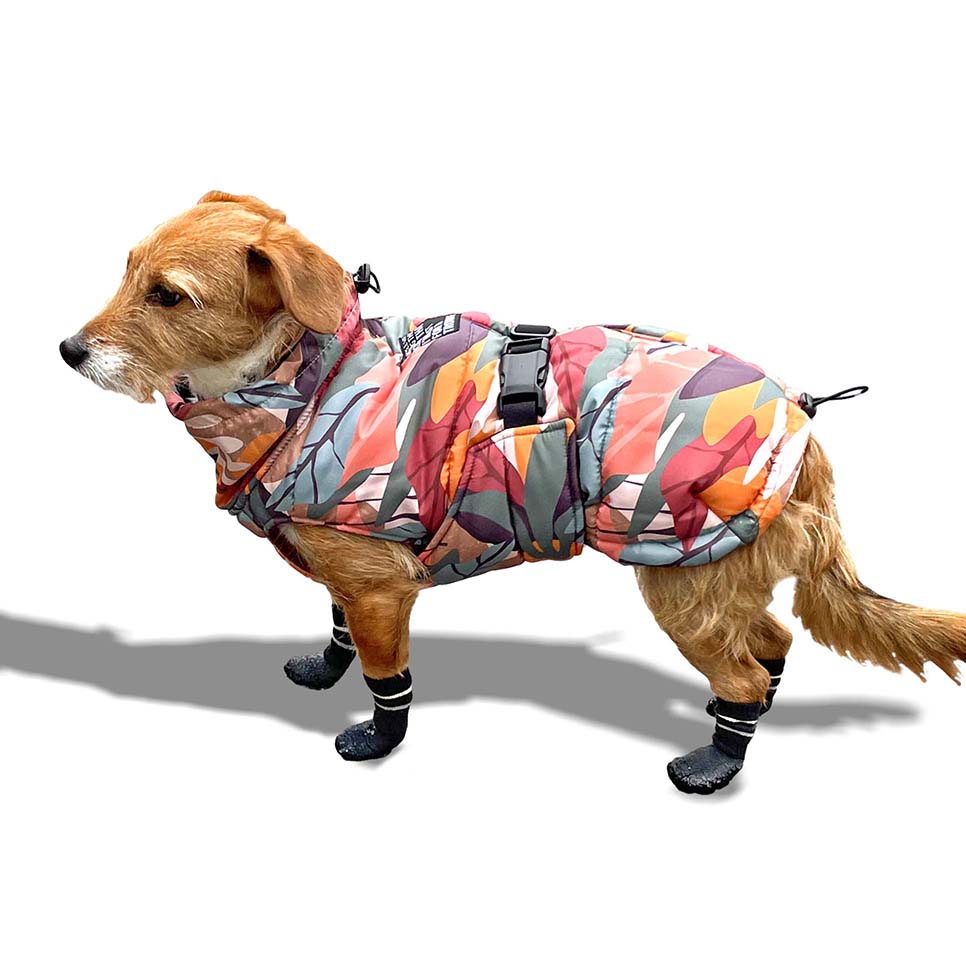 Postavljena Jakna Za Pse, Leaves