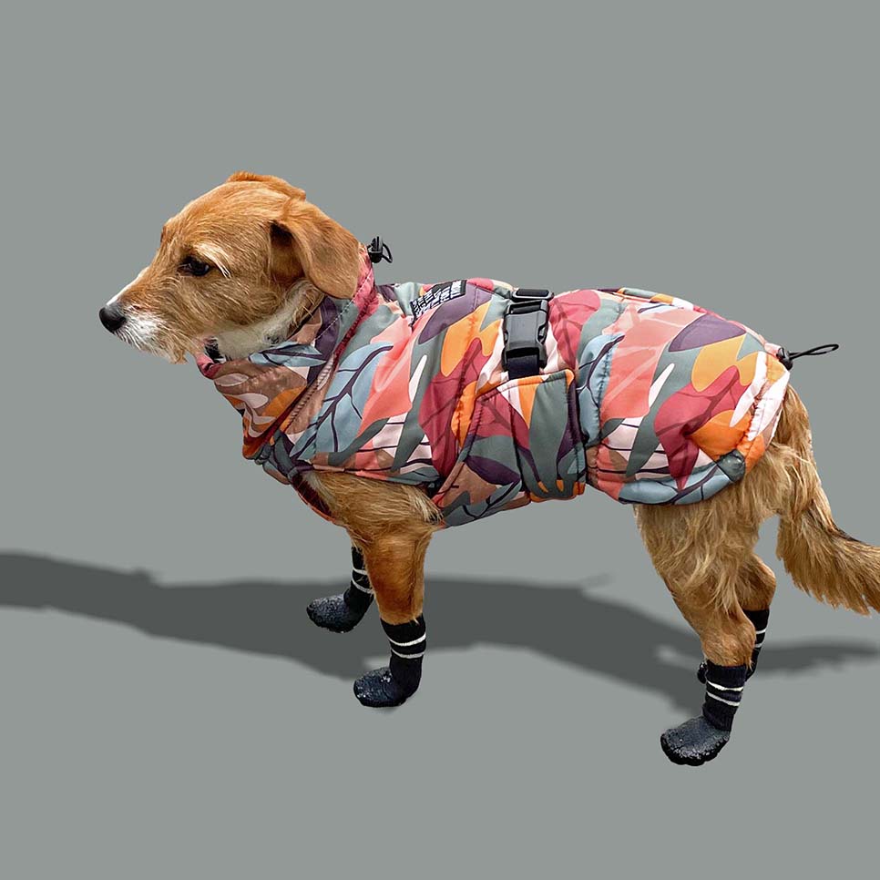 Postavljena Jakna Za Pse, Leaves