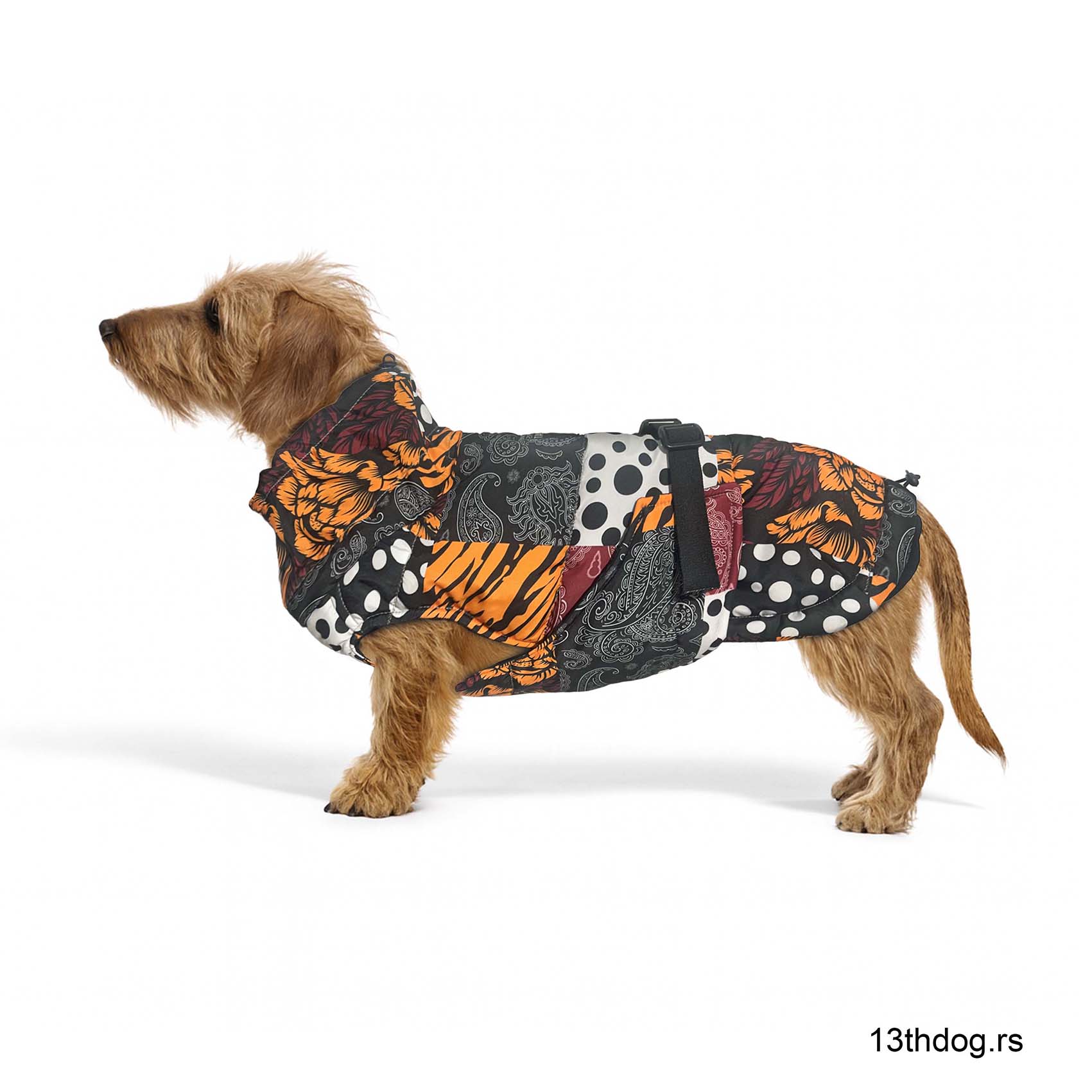 Gipsy Postavljena Jakna Za Pse