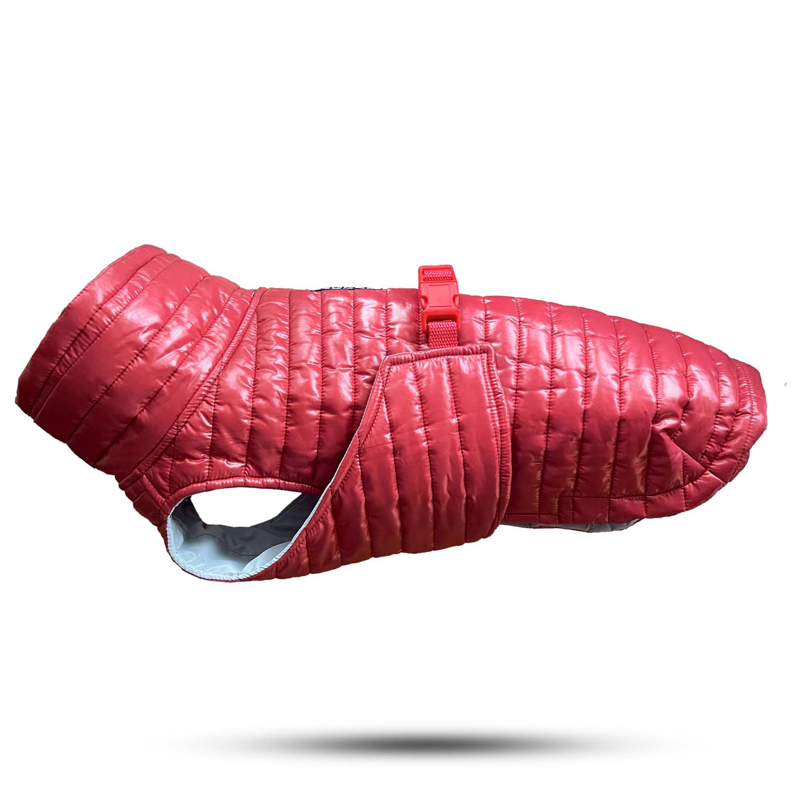 Postavljena Jakna Za Pse, Moncler Dog - LIMITED