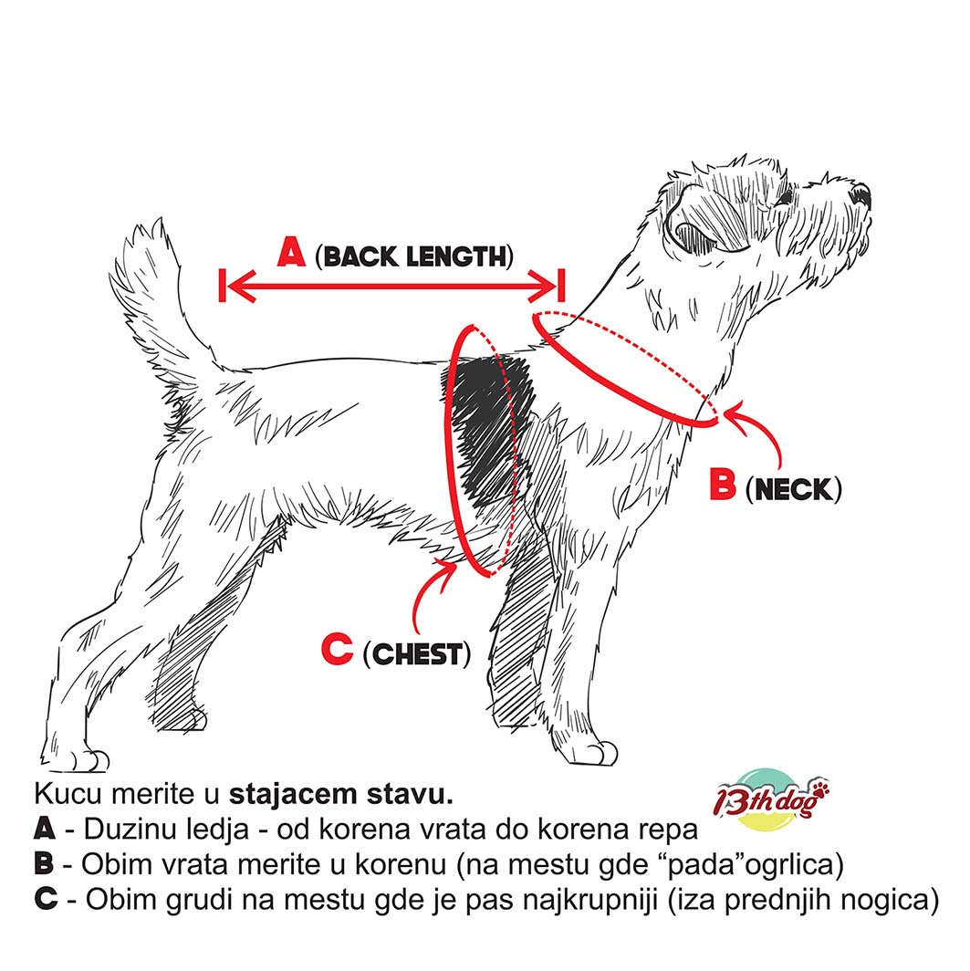 Postavljena Jakna Za Pse, Moncler Dog - LIMITED