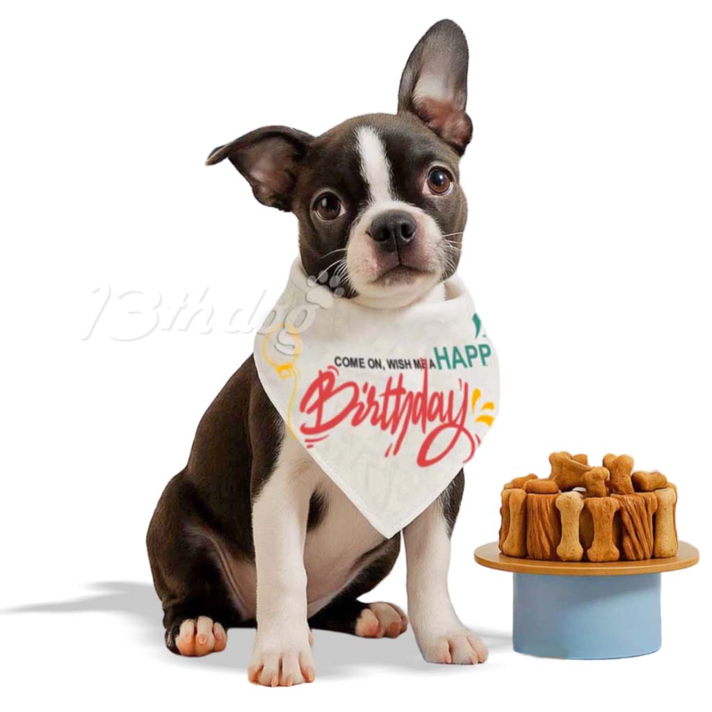 Birthday Marama Za Psa #3609