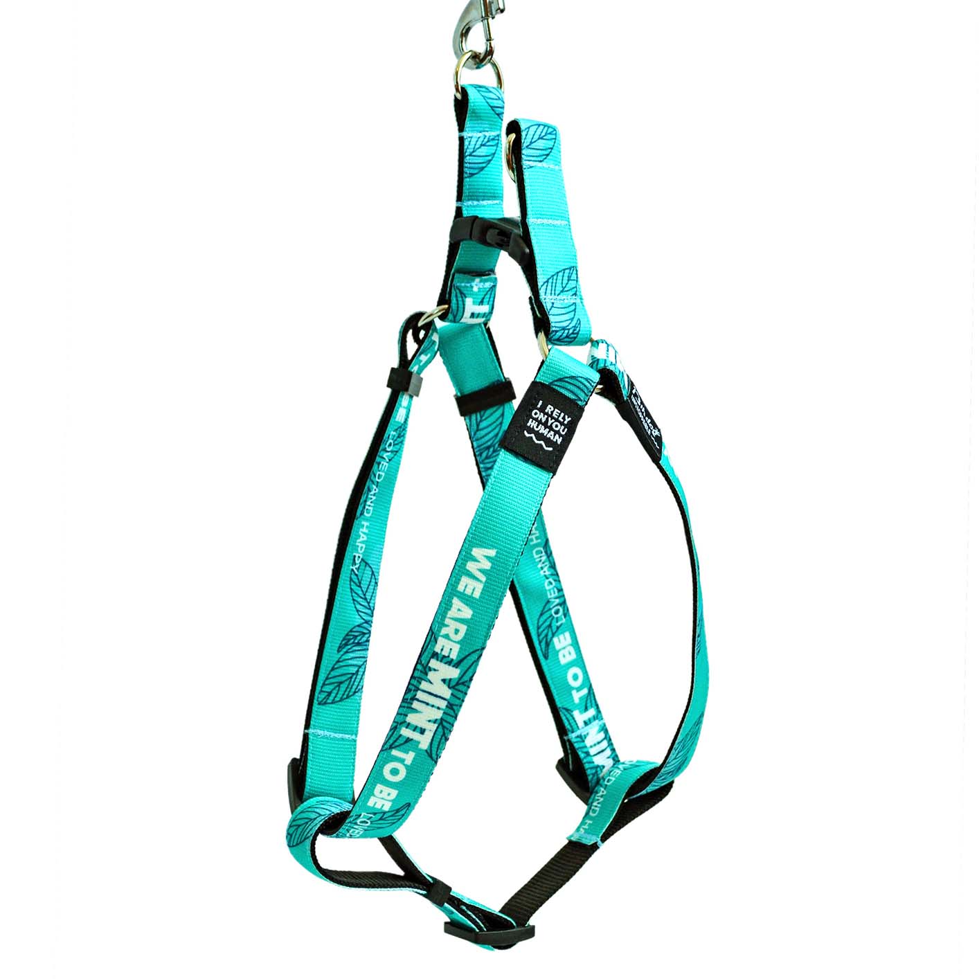 MINT Step In Am Za Pse