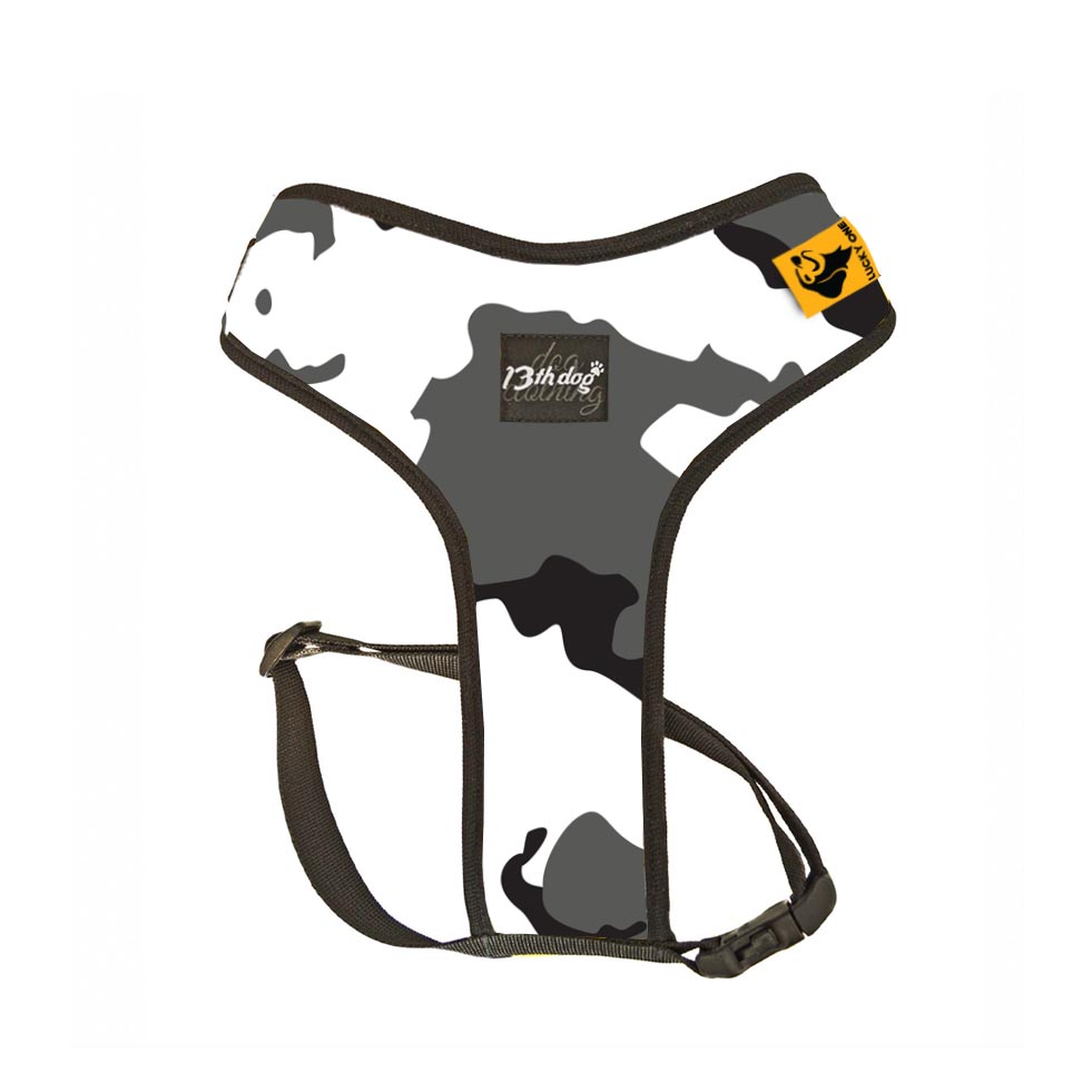 Meki Am za Pse, The Rock