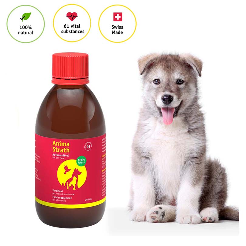 Anima Strath Sirup Za Imunitet i Apetit Za Sve Životinje