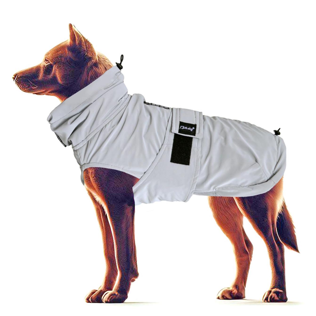 Space Kabanica Za Pse