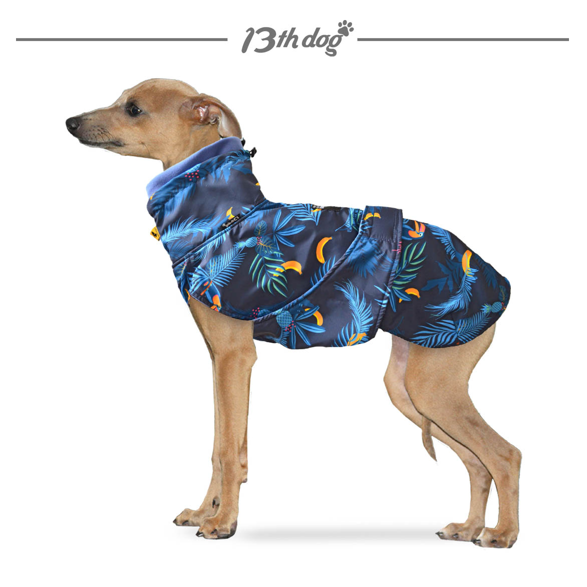 Avatar Jakna Za Vipete