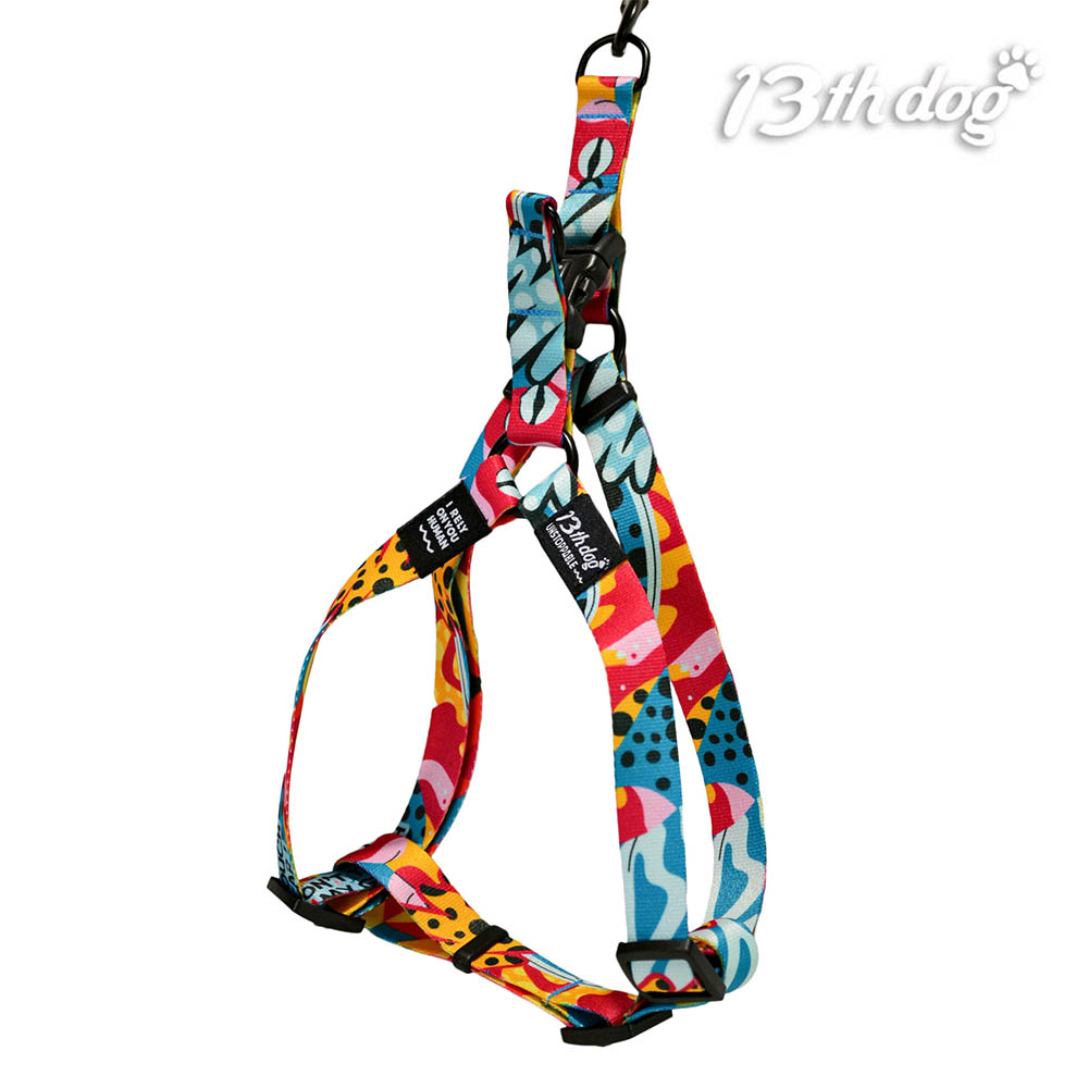 LadyBug Step In Am Za Pse - RECY.