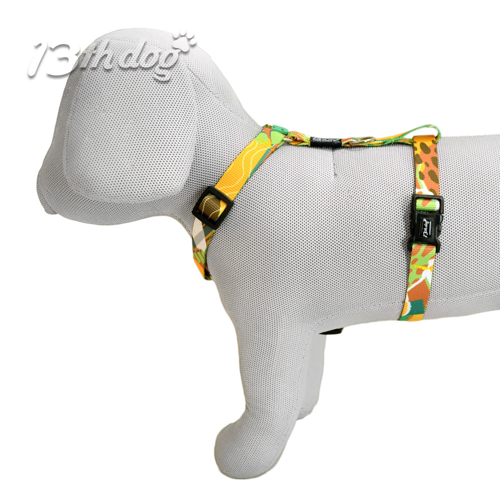 Avocadoss H - Am Za Pse