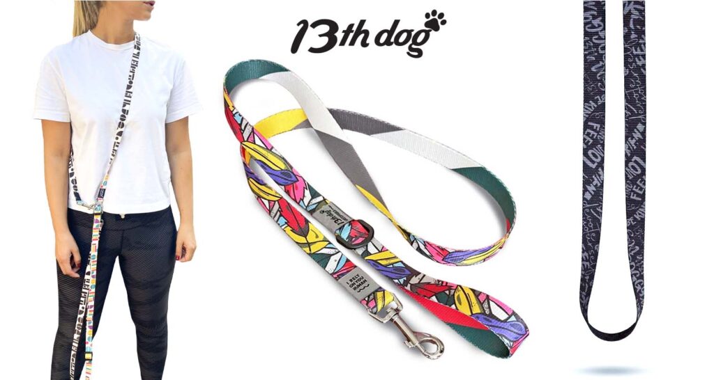 Kako izabrati savršen povodac za psa – vodič za sigurnu i udobnu šetnju | 13th Dog